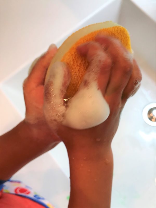 手洗いスポンジ