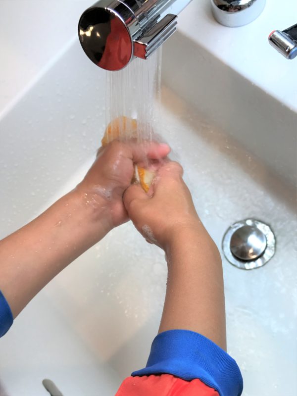 手洗いスポンジ