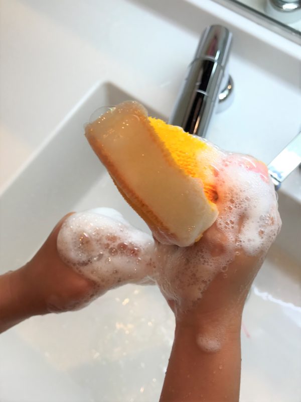 手洗いスポンジ