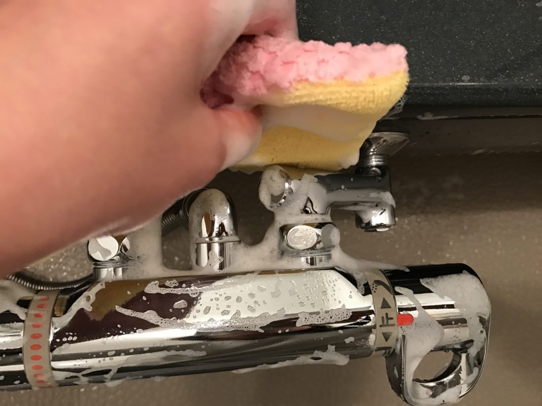 バスクロストレピカ