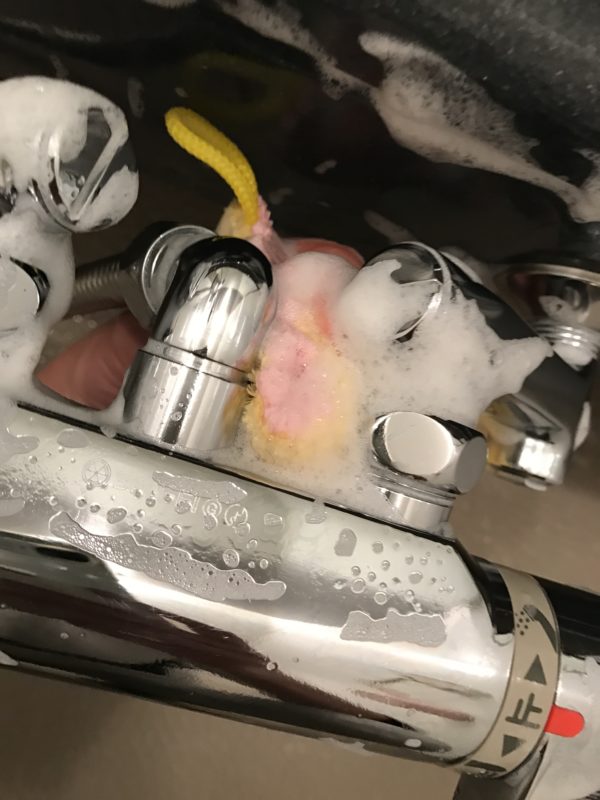 バスクロストレピカ