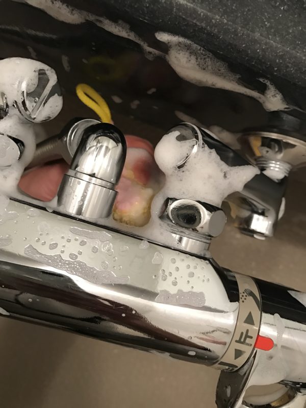 バスクロストレピカ