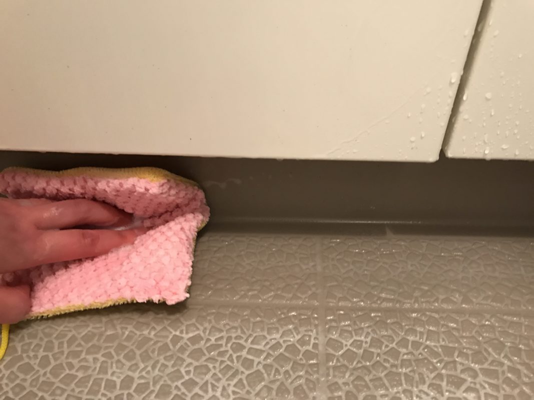 バスクロストレピカ