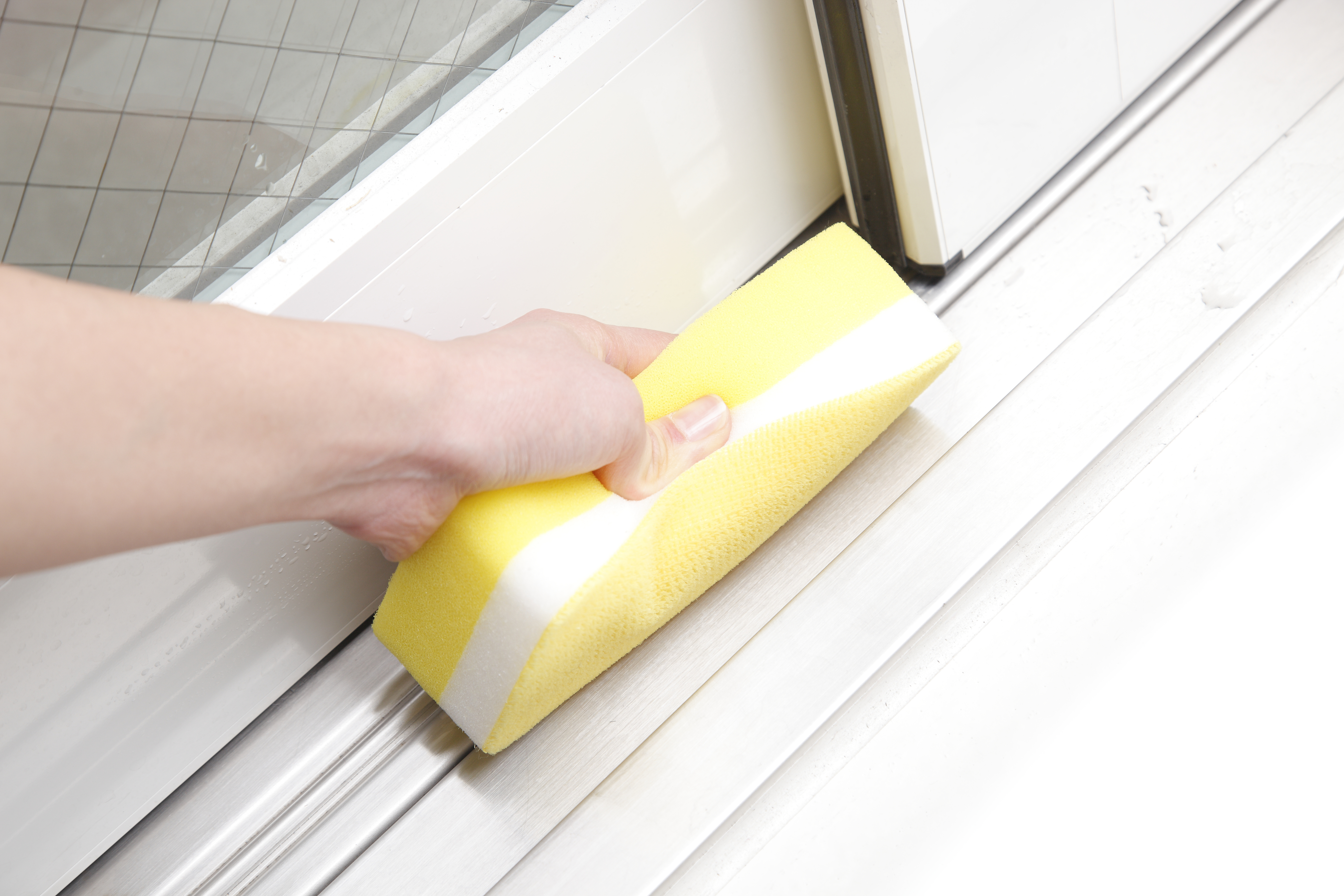 バススポンジトレピカ-bf801