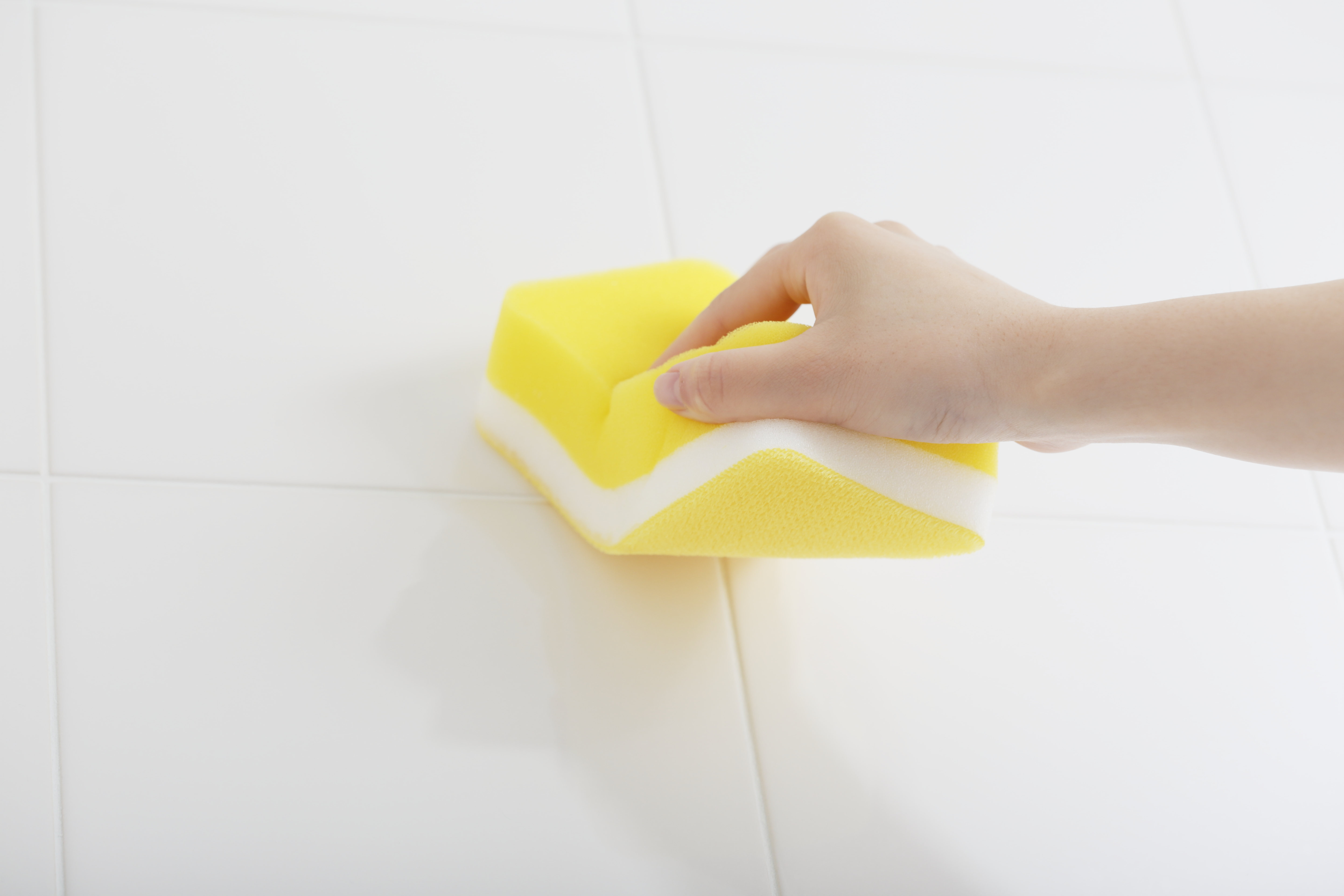 バススポンジトレピカ-bf801