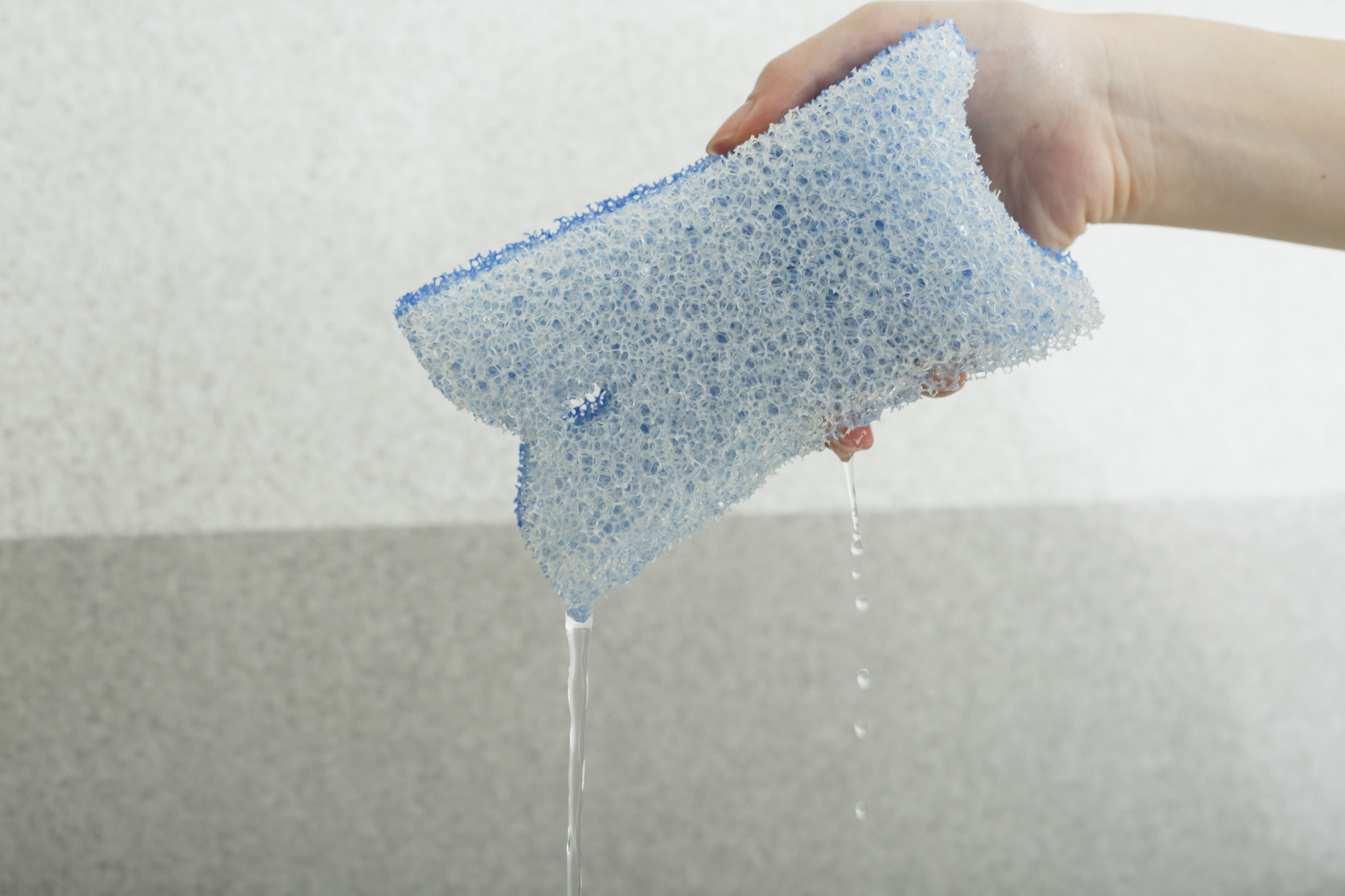 激キレバススポンジ-BD001-27191 - 画像 (3)