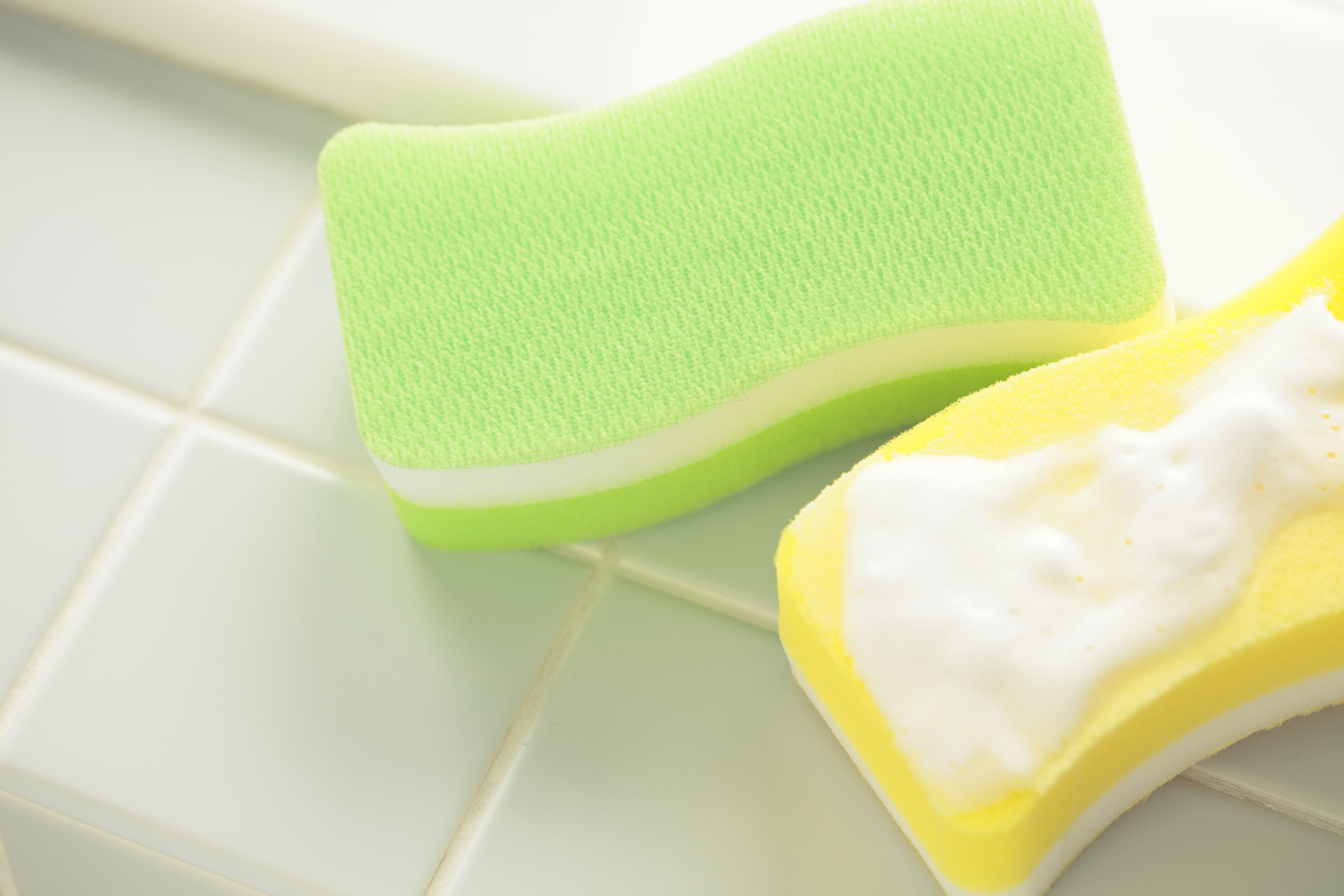 バススポンジ トレピカ グリーン - BF801-29503 - 画像 (3)